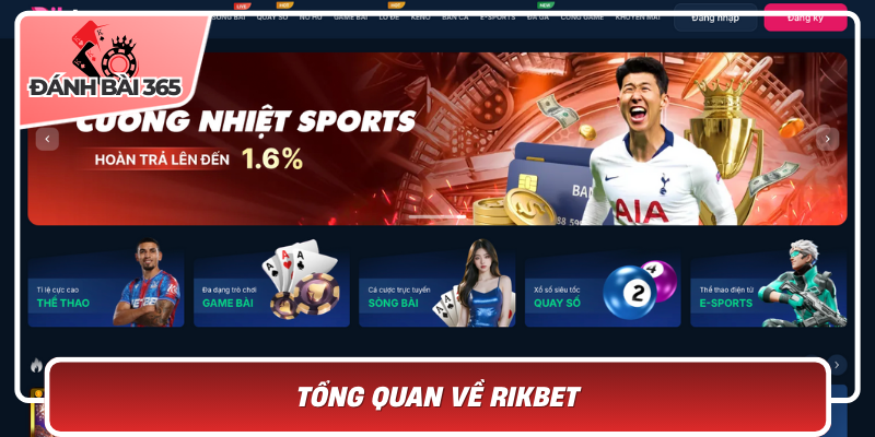 Tổng Quan Về Rikbet