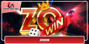 Zowin 1