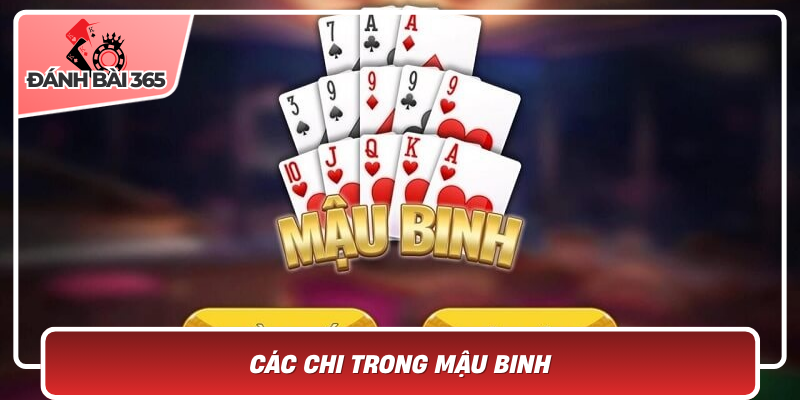 Cac Chi Trong Mau Binh