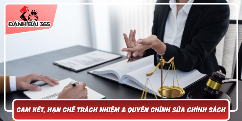 Các cam kết hạn chế trách nhiệm - quyền chỉnh sửa chính sách