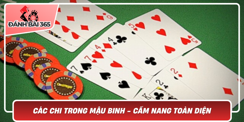 Các chi trong mậu binh - Cẩm nang toàn diện cho người chơi