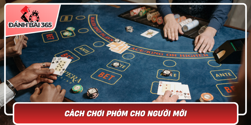 Cach Choi Phom Cho Nguoi Moi