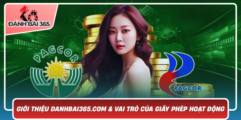 Giới thiệu về Danhbai365.com và vai trò của giấy phép hoạt động